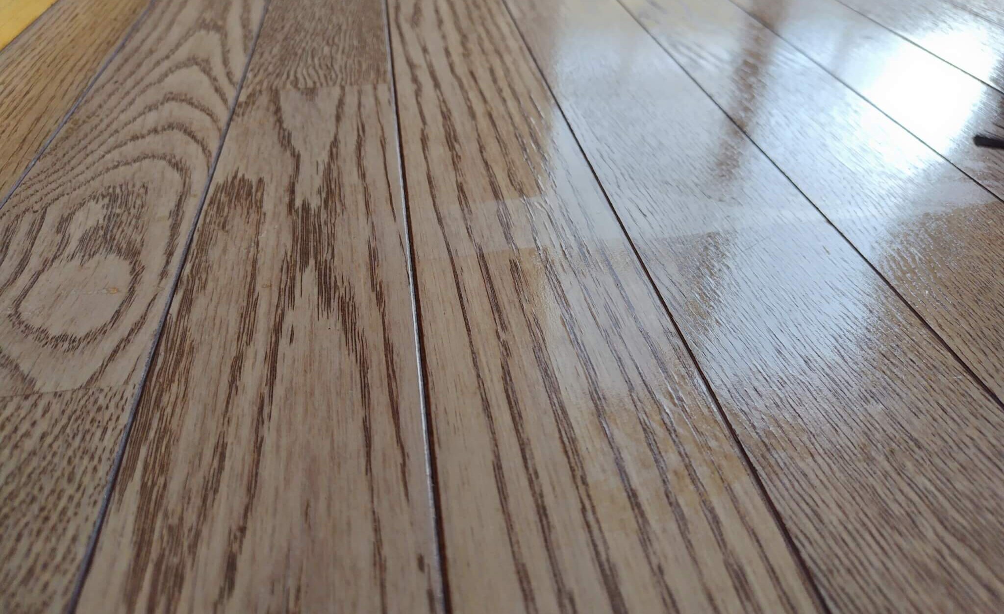 DEEBOT T50 OMNI【水拭き性能】水量低～中モードはちょうどいい水加減でスッキリした床に
